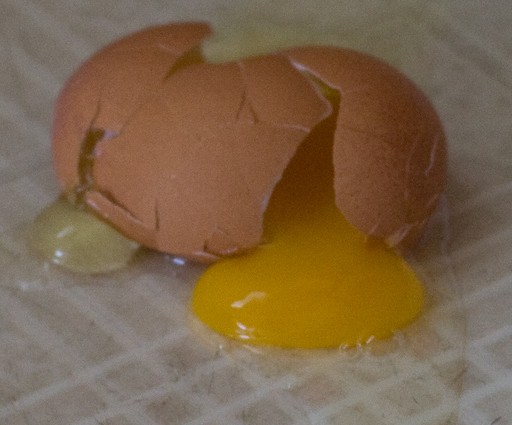 Broken Egg by Tal Atlas